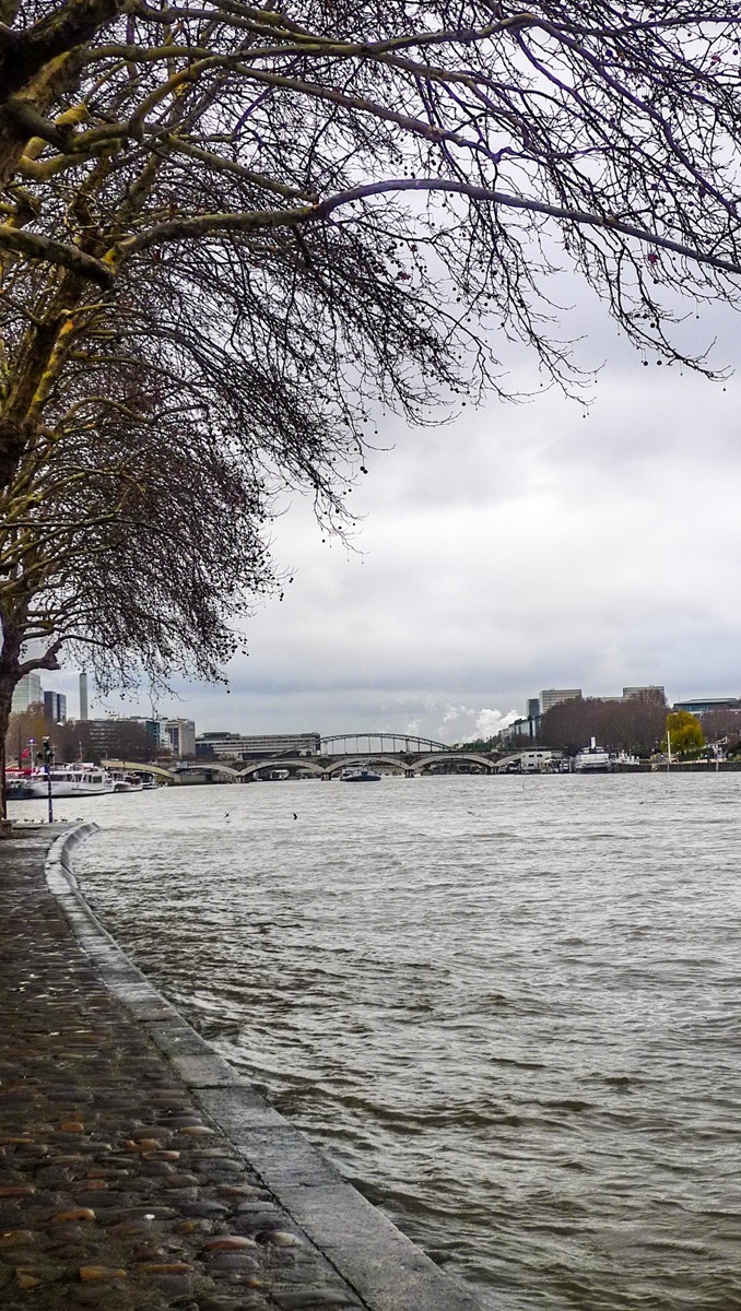 冬日之“塞纳河”（巴黎）--祝师友新年快乐！！！