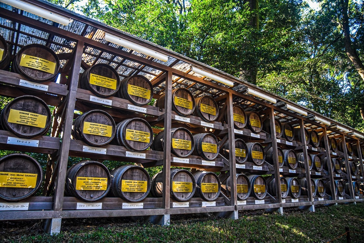 明治花园（日本）--祝师友新年快乐！！！