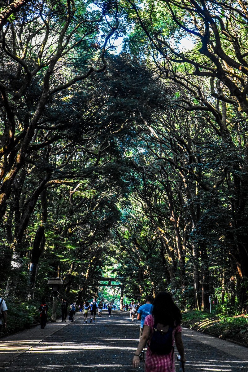 明治花园（日本）--祝师友新年快乐！！！