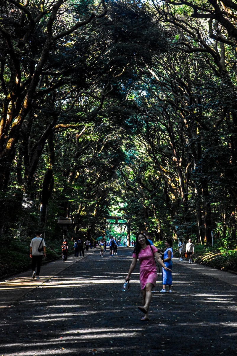 明治花园（日本）--祝师友新年快乐！！！