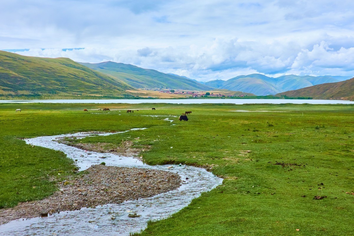 #版主坐堂#索尼大版星空(中国)2024年 12 月份优秀作品精选汇总