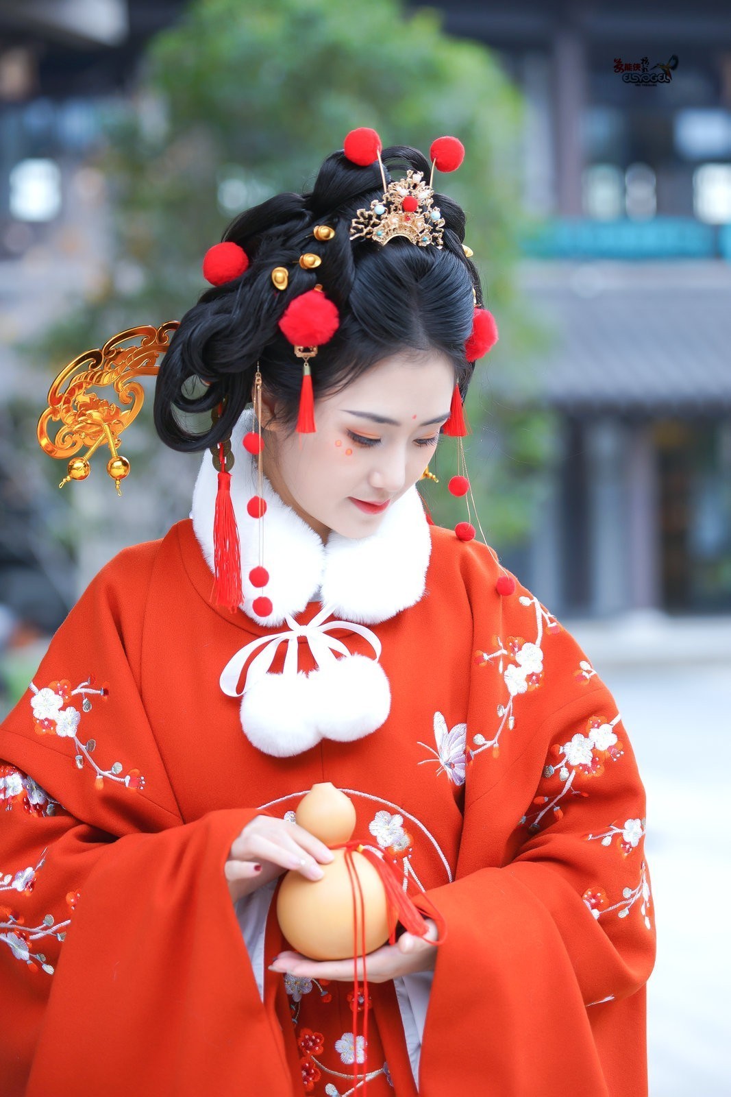 #版主坐堂#索尼大版星空(中国)2024年 12 月份优秀作品精选汇总