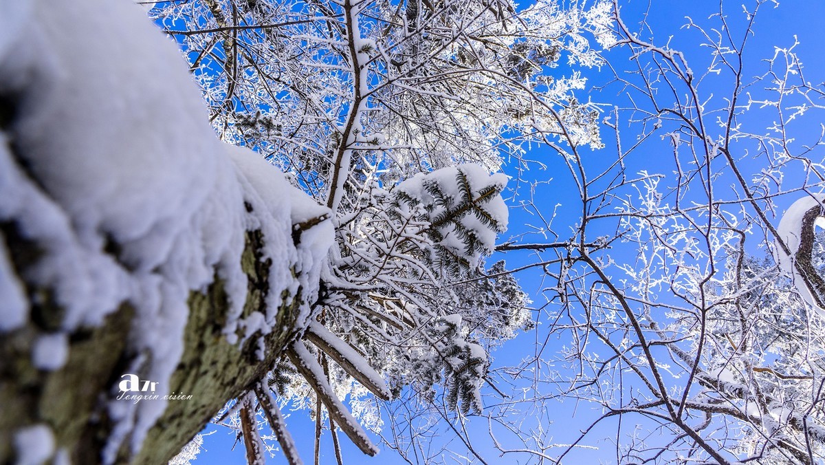 老克里湖林海雪原（29）