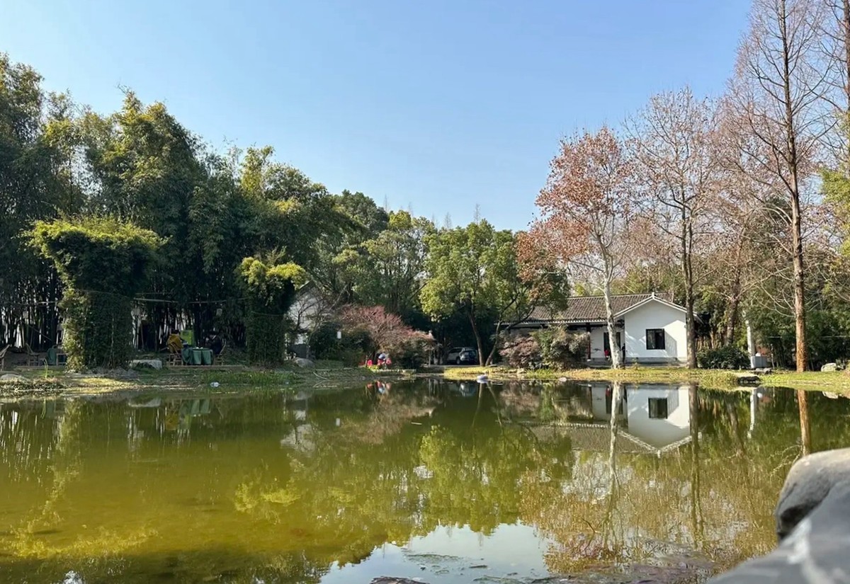 初十的长沙安静了---橘州公园