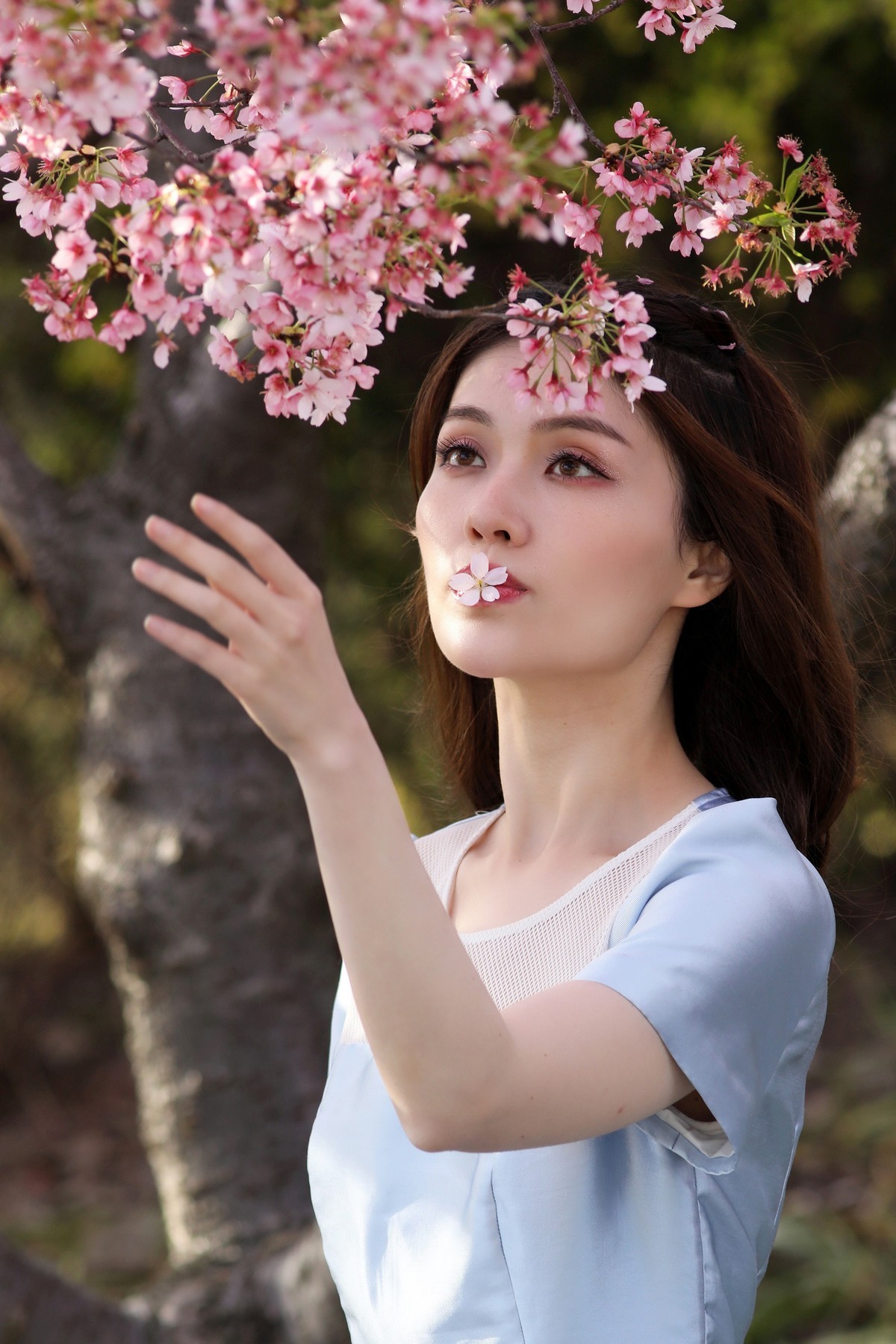 有点混血（试用 PT Portrait）樱花树旁留个影系列06