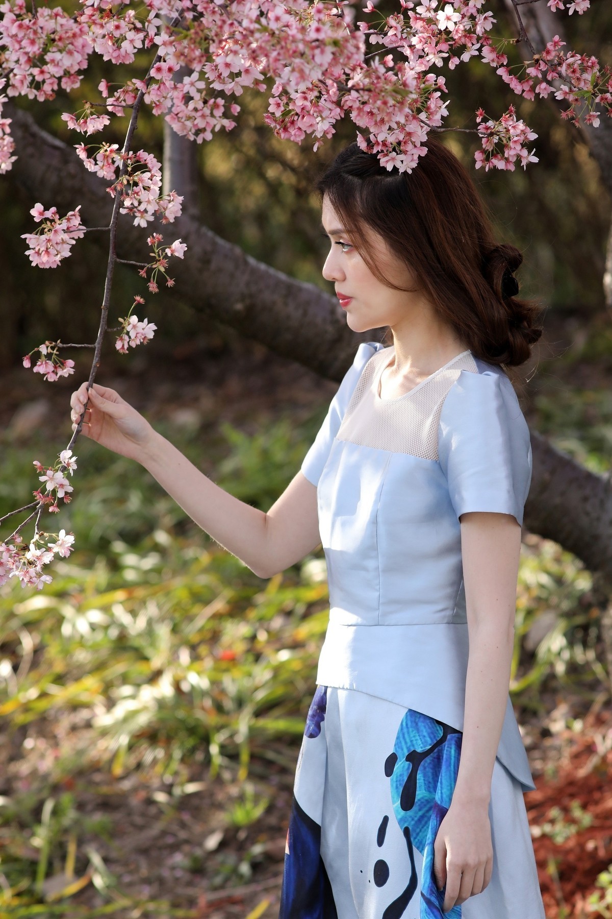 有点混血（试用 PT Portrait）樱花树旁留个影系列06