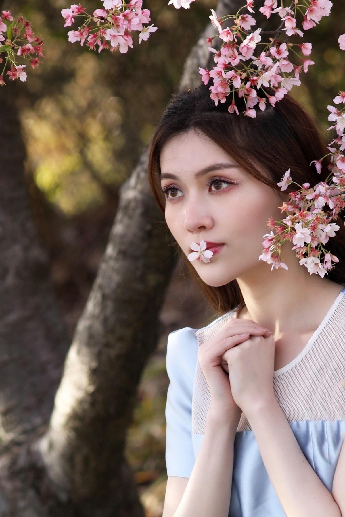 有点混血（试用 PT Portrait）樱花树旁留个影系列06