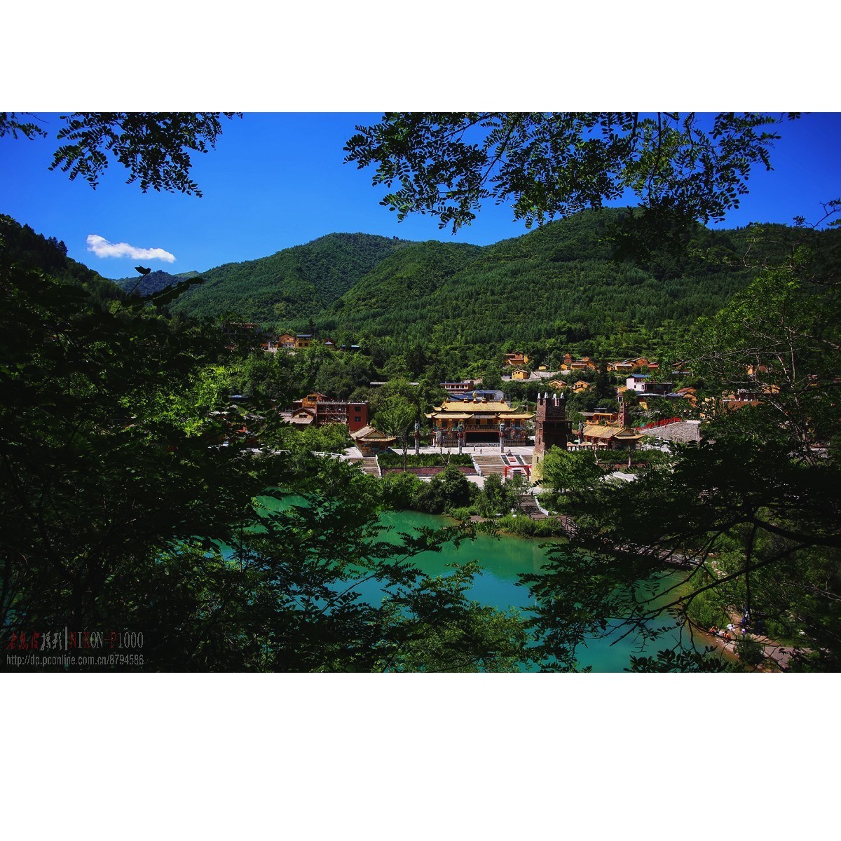 陇南宕昌县官鹅沟鹿仁村-中关村在线摄影论坛