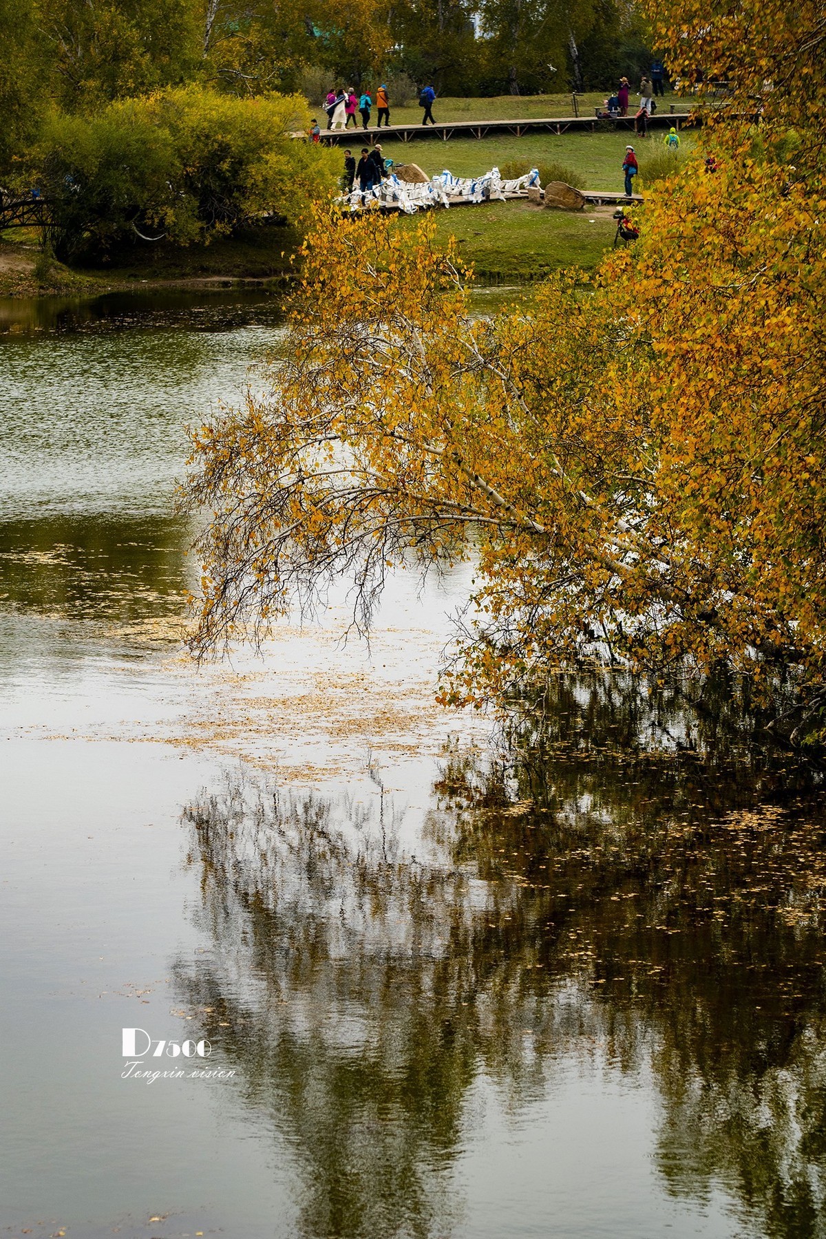 坝上好个秋公主湖2