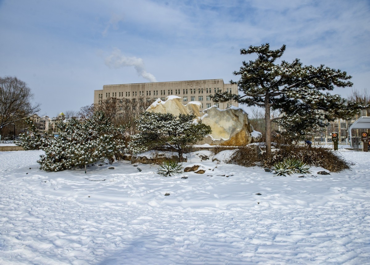 公园雪景