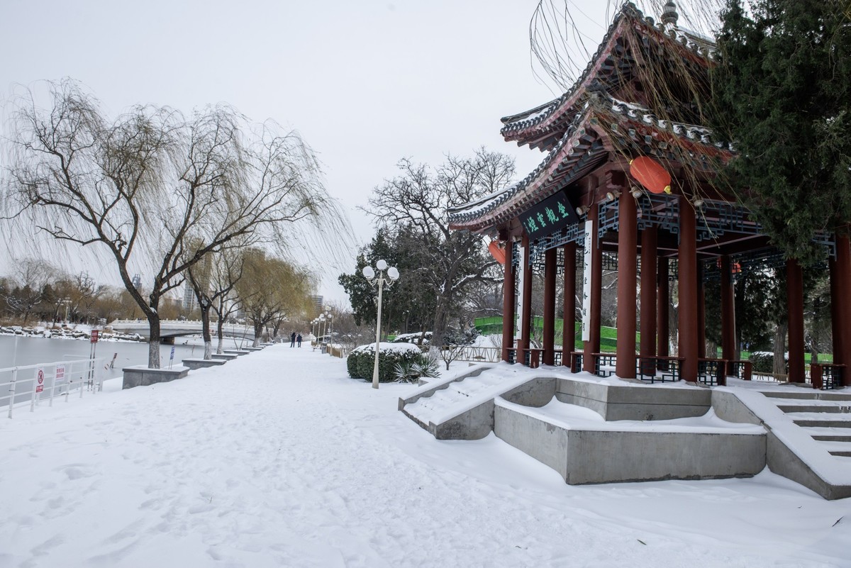 公园雪景