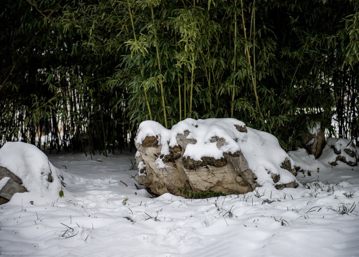 公园雪景