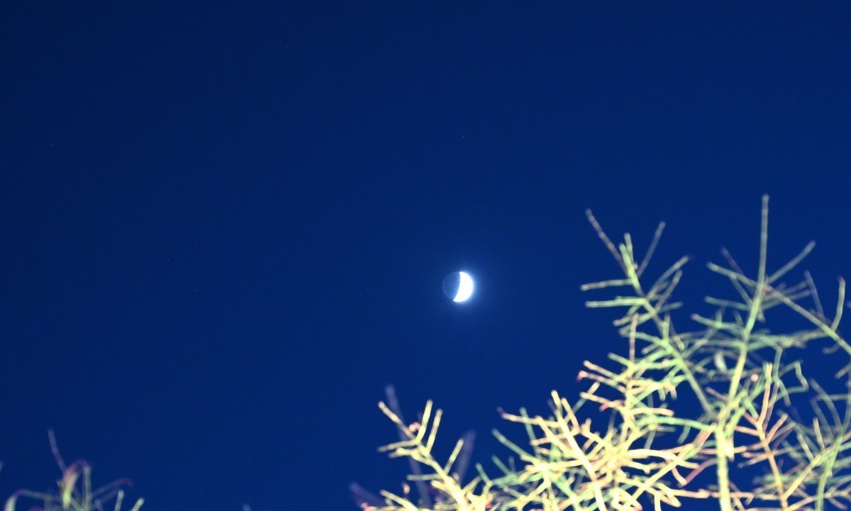 大连莲花山俯瞰星海湾大桥