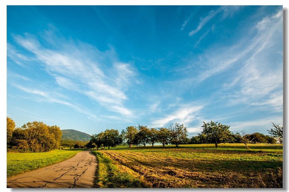 小五星空(中国)祝大家元旦佳节快乐！同时奉上十二月精华！