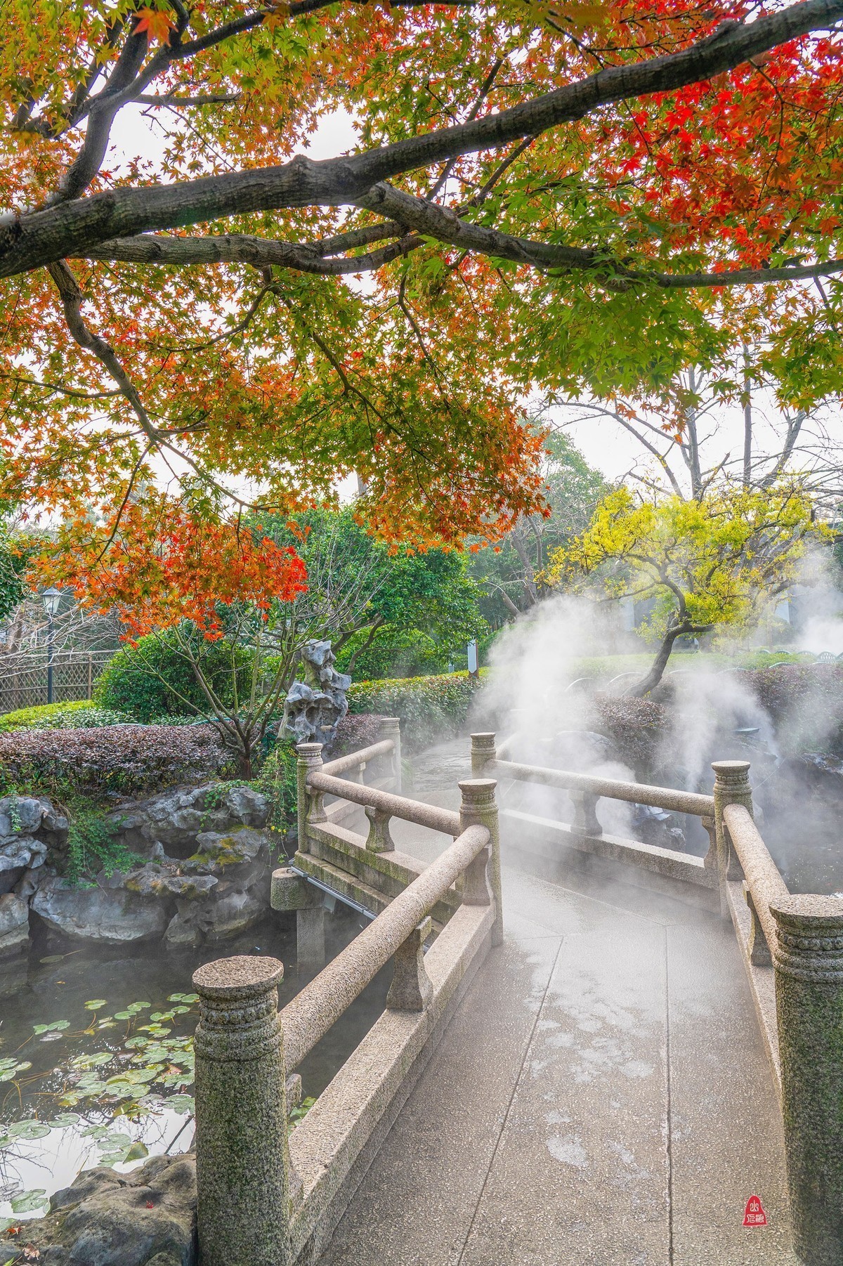 小五星空(中国)祝大家元旦佳节快乐！同时奉上十二月精华！
