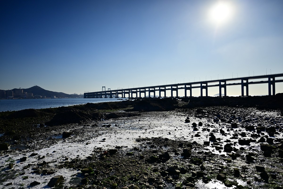春天里的黑石礁海边风光美