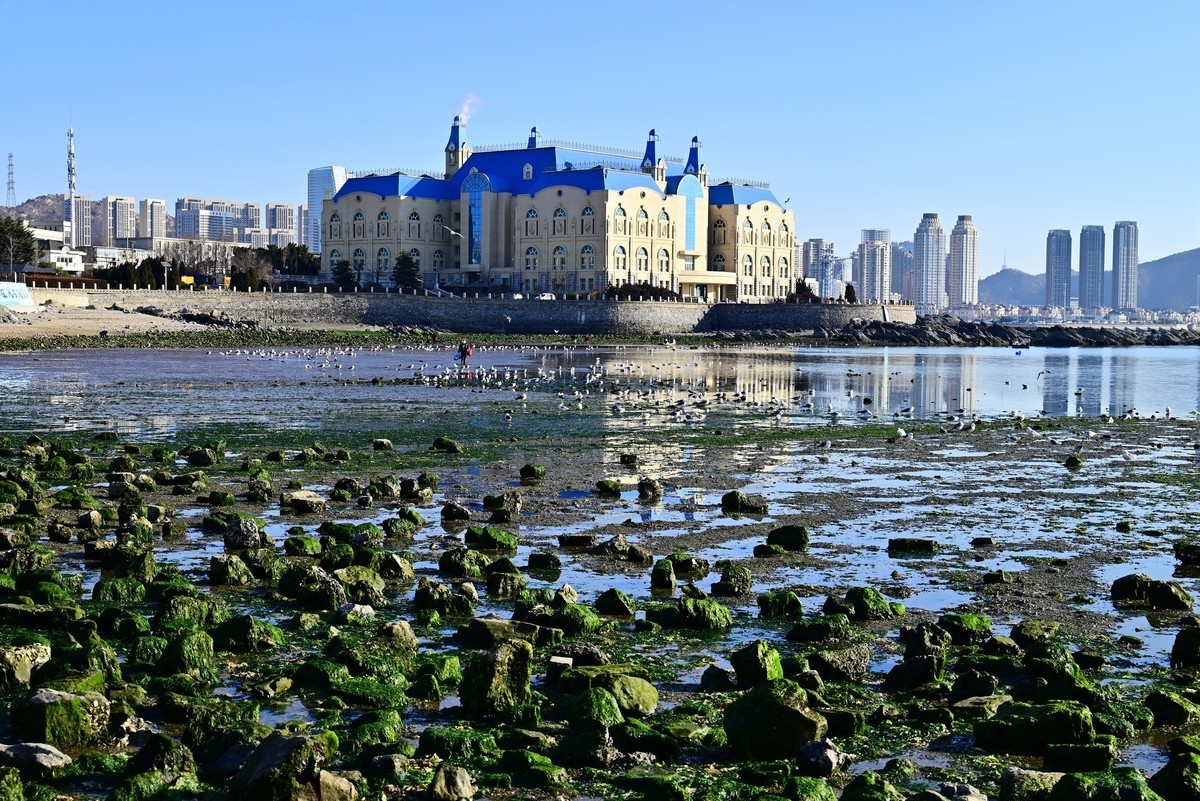 春天里的黑石礁海边风光美