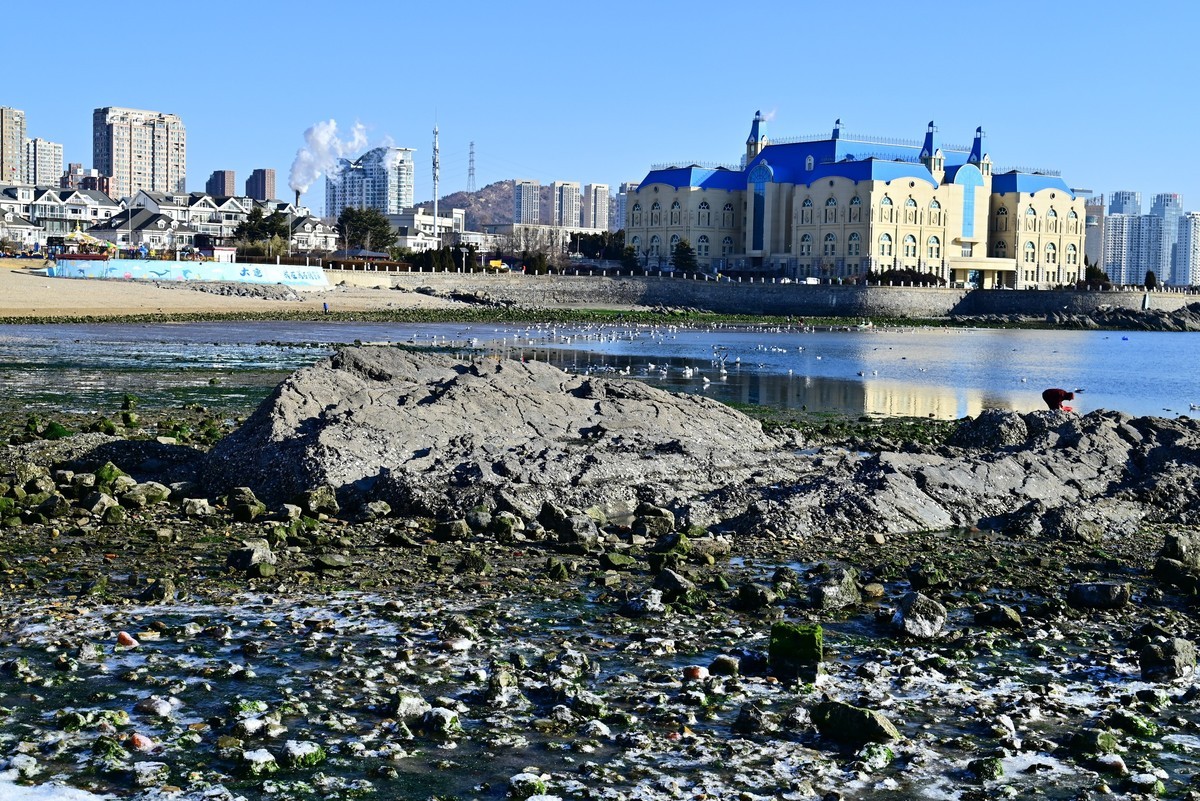 春天里的黑石礁海边风光美
