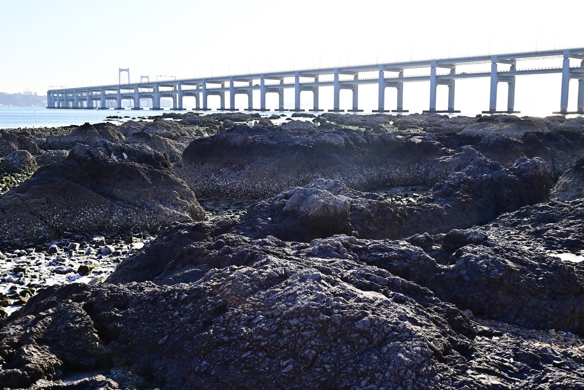 春天里的黑石礁海边风光美