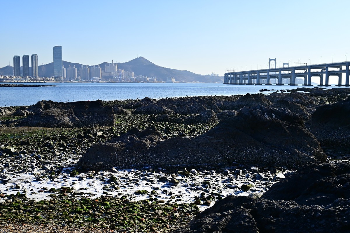 春天里的黑石礁海边风光美