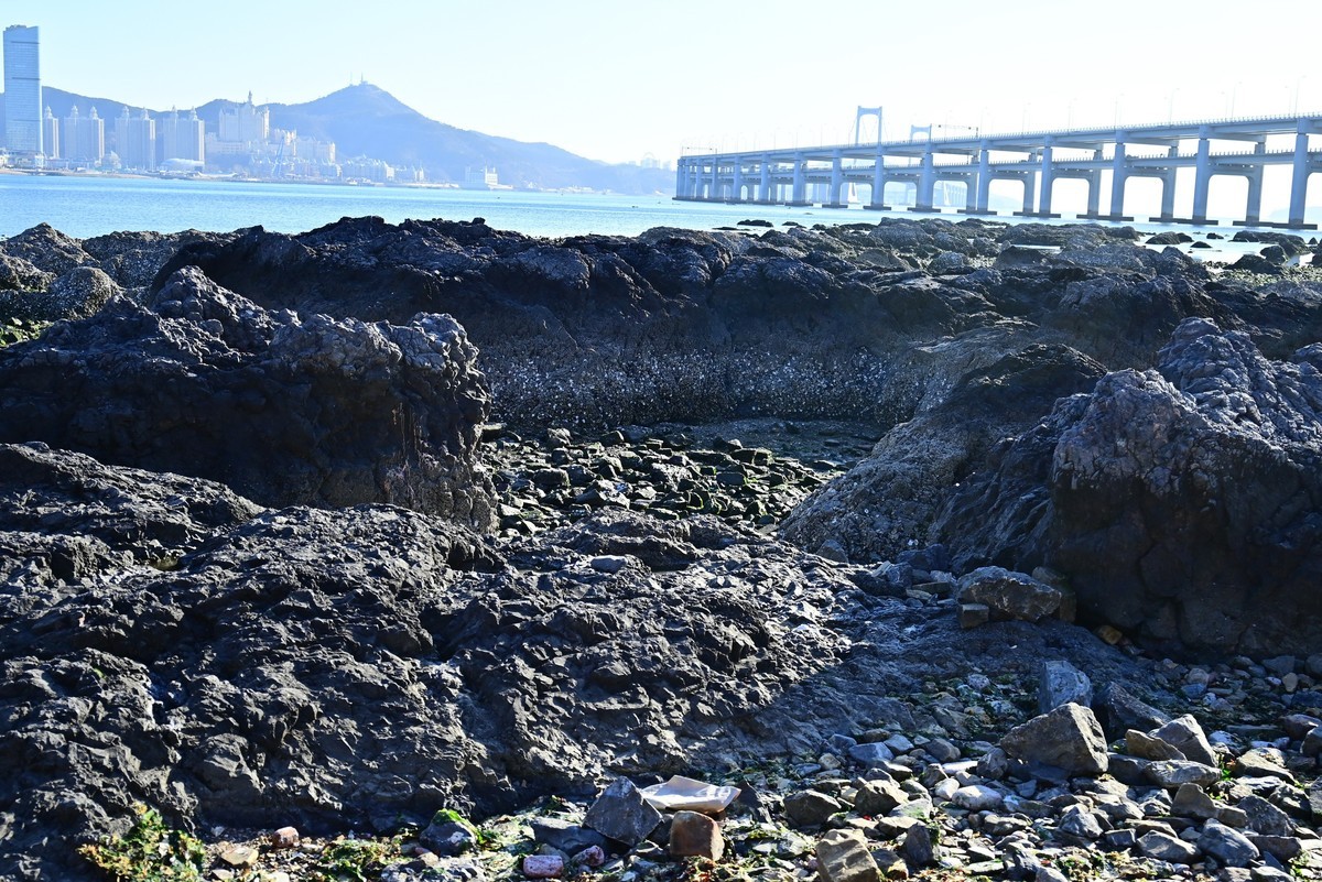 春天里的黑石礁海边风光美