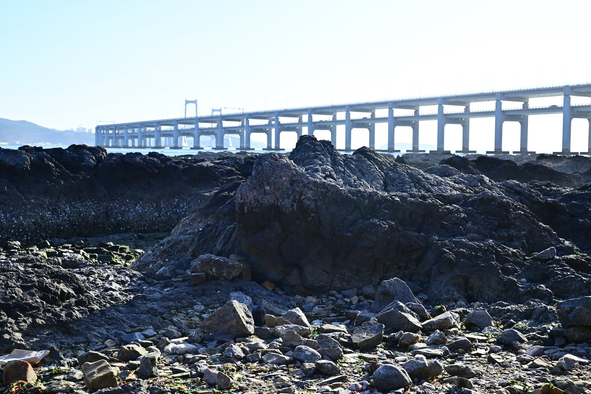 春天里的黑石礁海边风光美