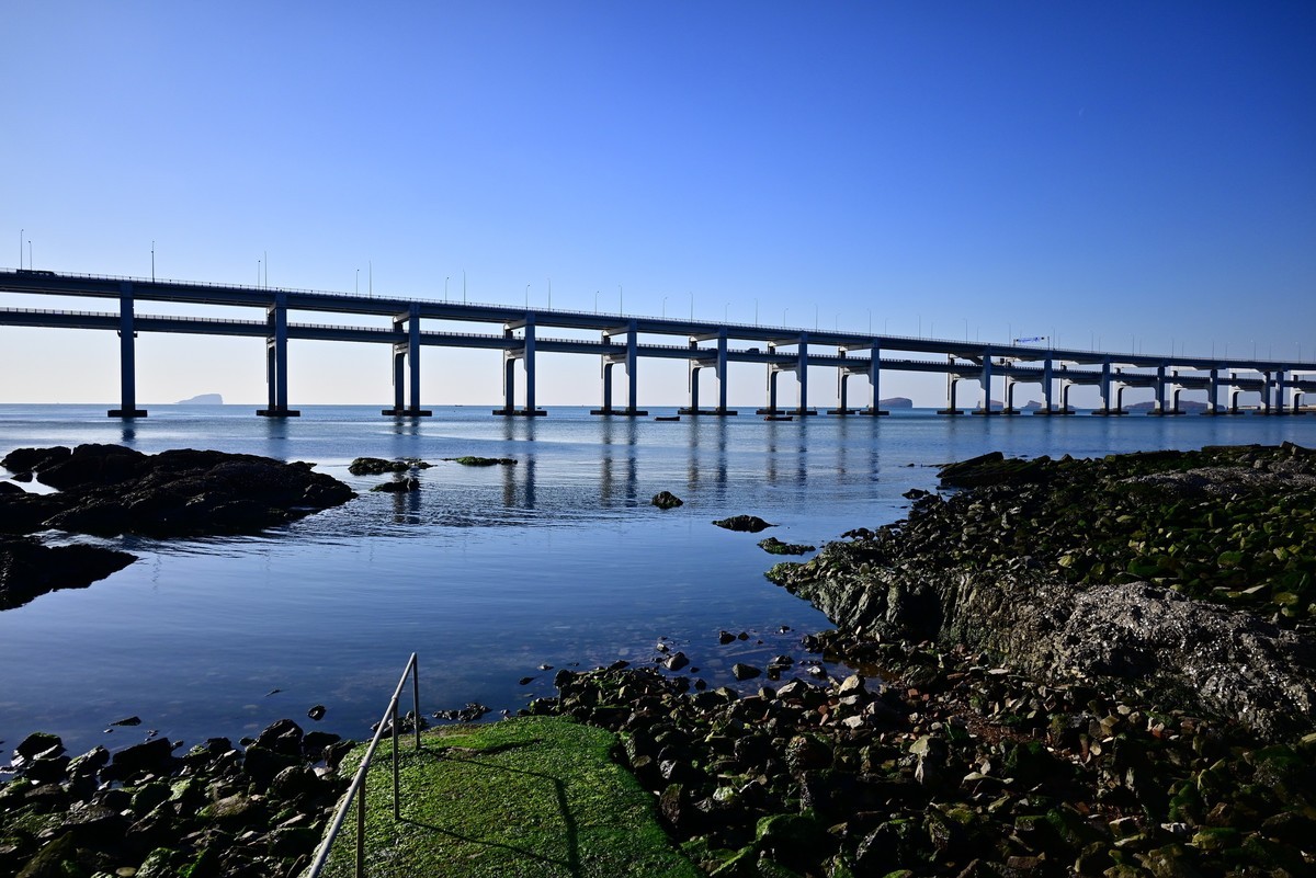 春天里的黑石礁海边风光美