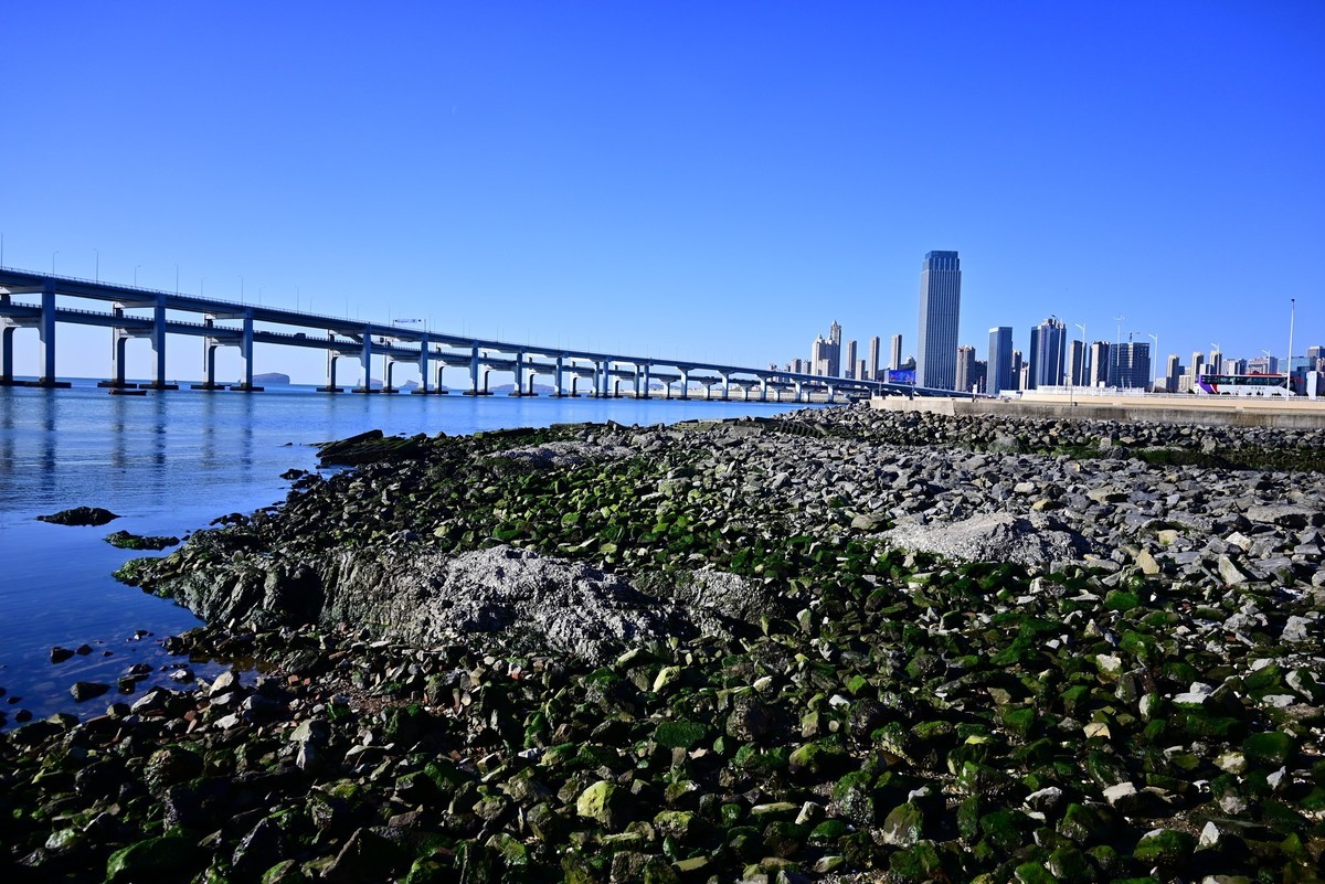 春天里的黑石礁海边风光美