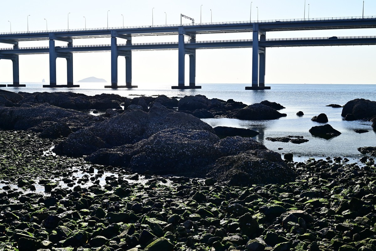 春天里的黑石礁海边风光美