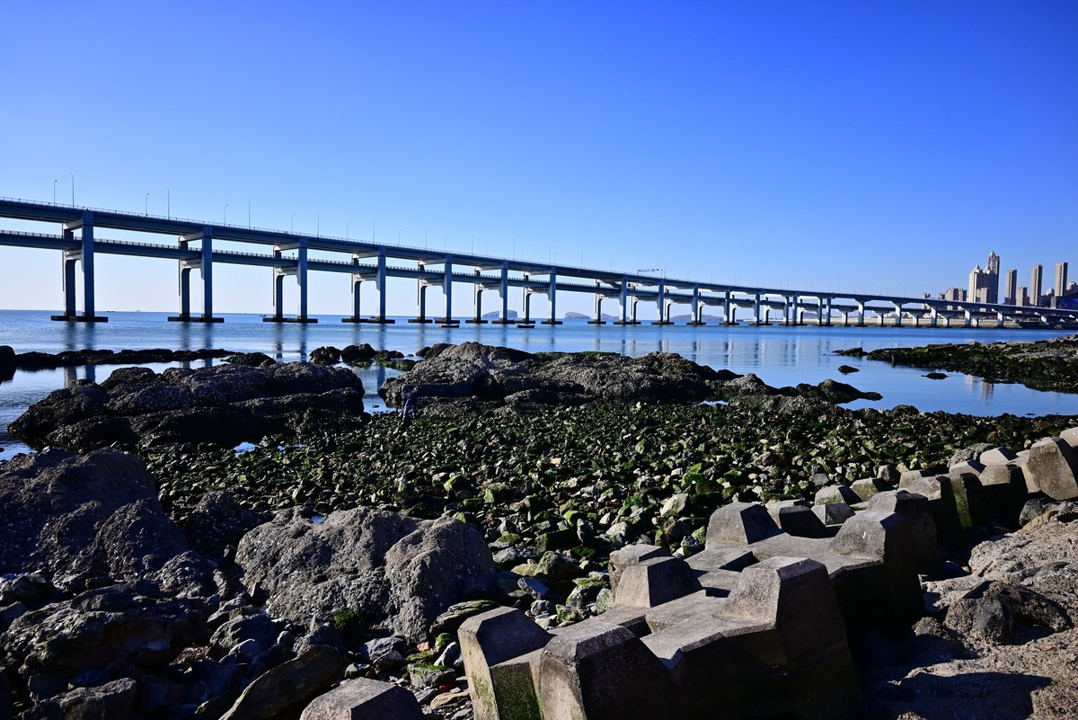 春天里的黑石礁海边风光美