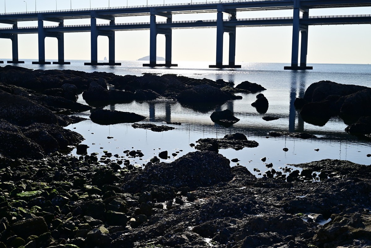 春天里的黑石礁海边风光美