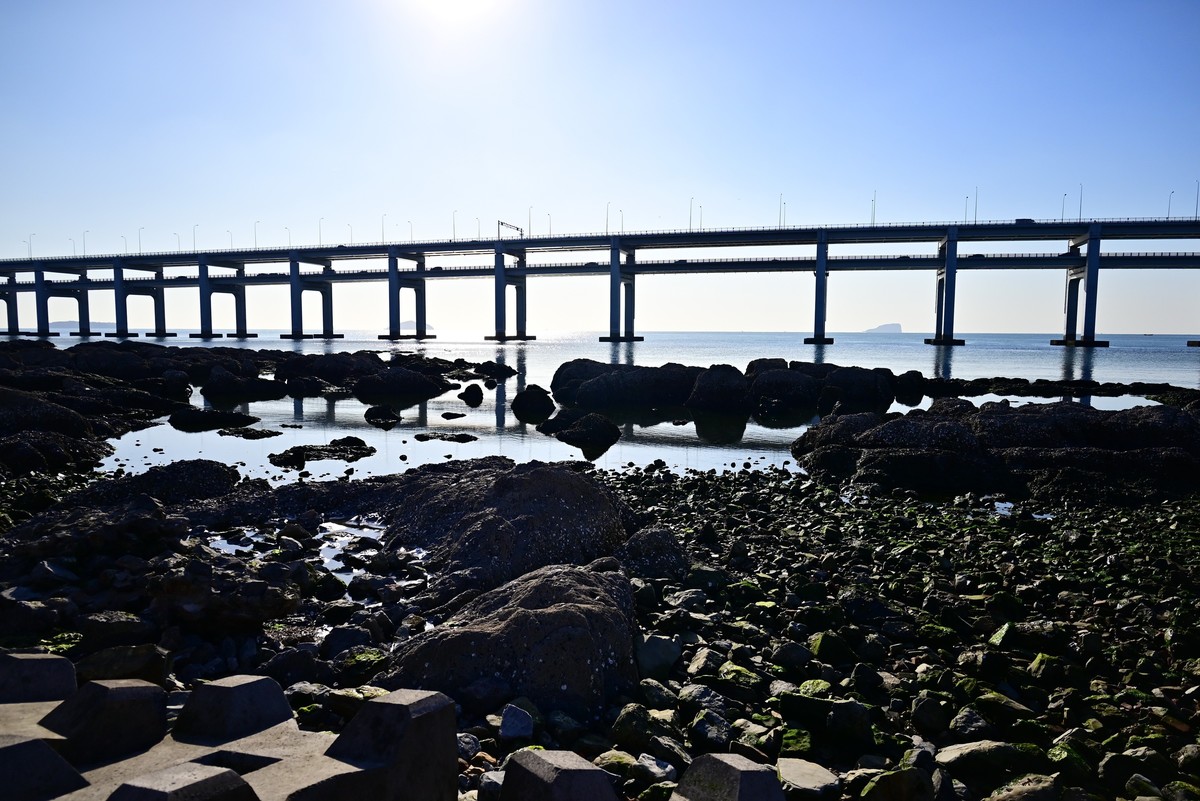 春天里的黑石礁海边风光美