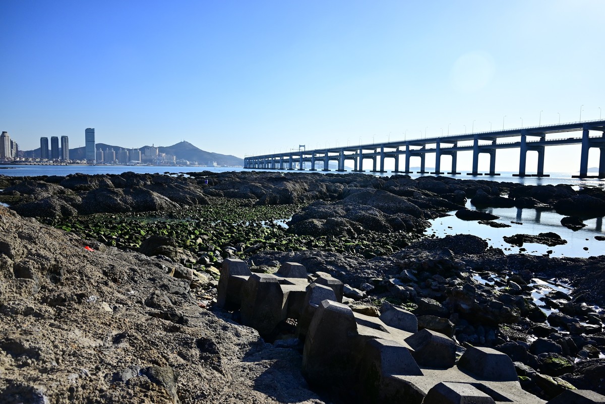 春天里的黑石礁海边风光美