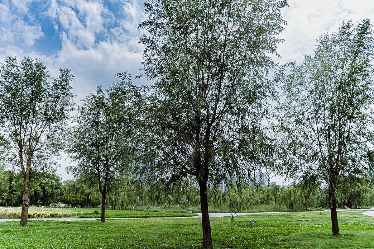 随                                   拍