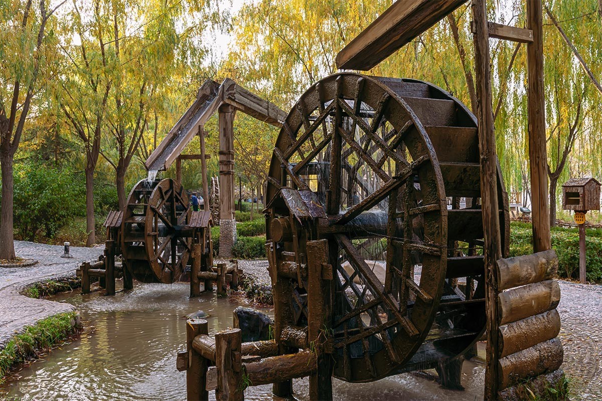 随                                   拍