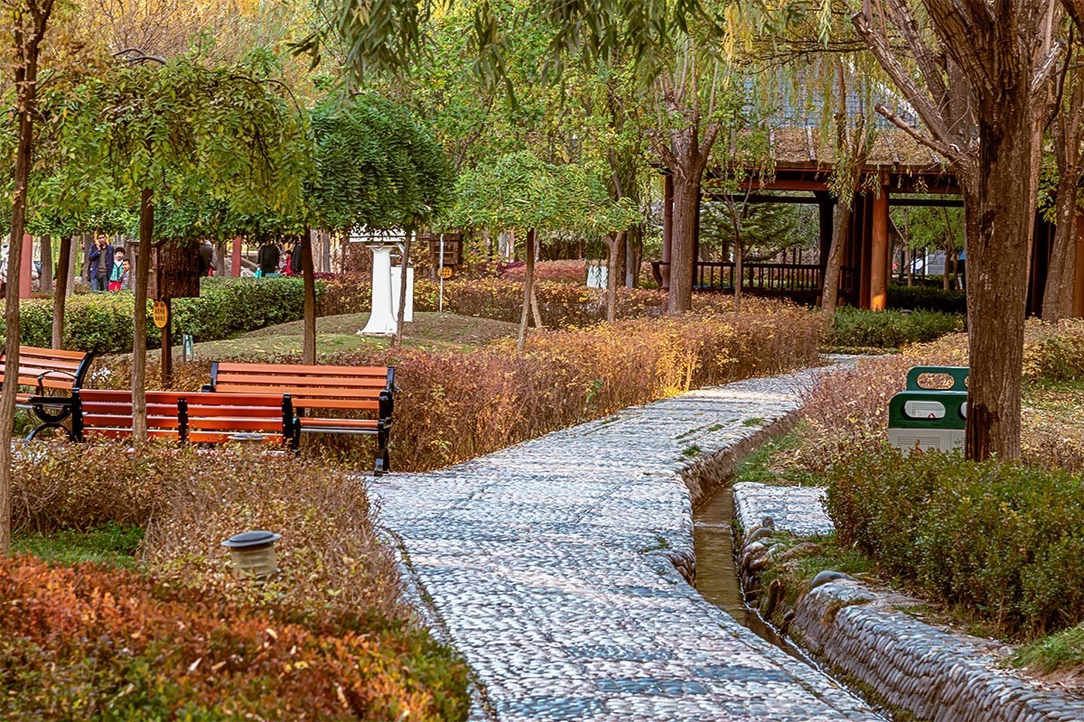 随                                   拍