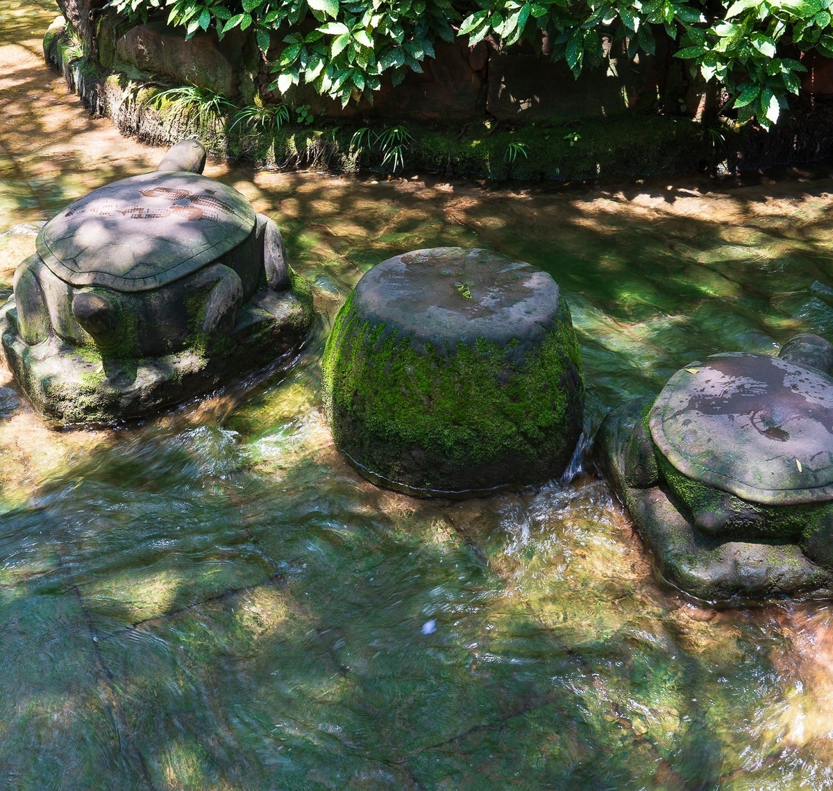 黄龙溪古镇游记