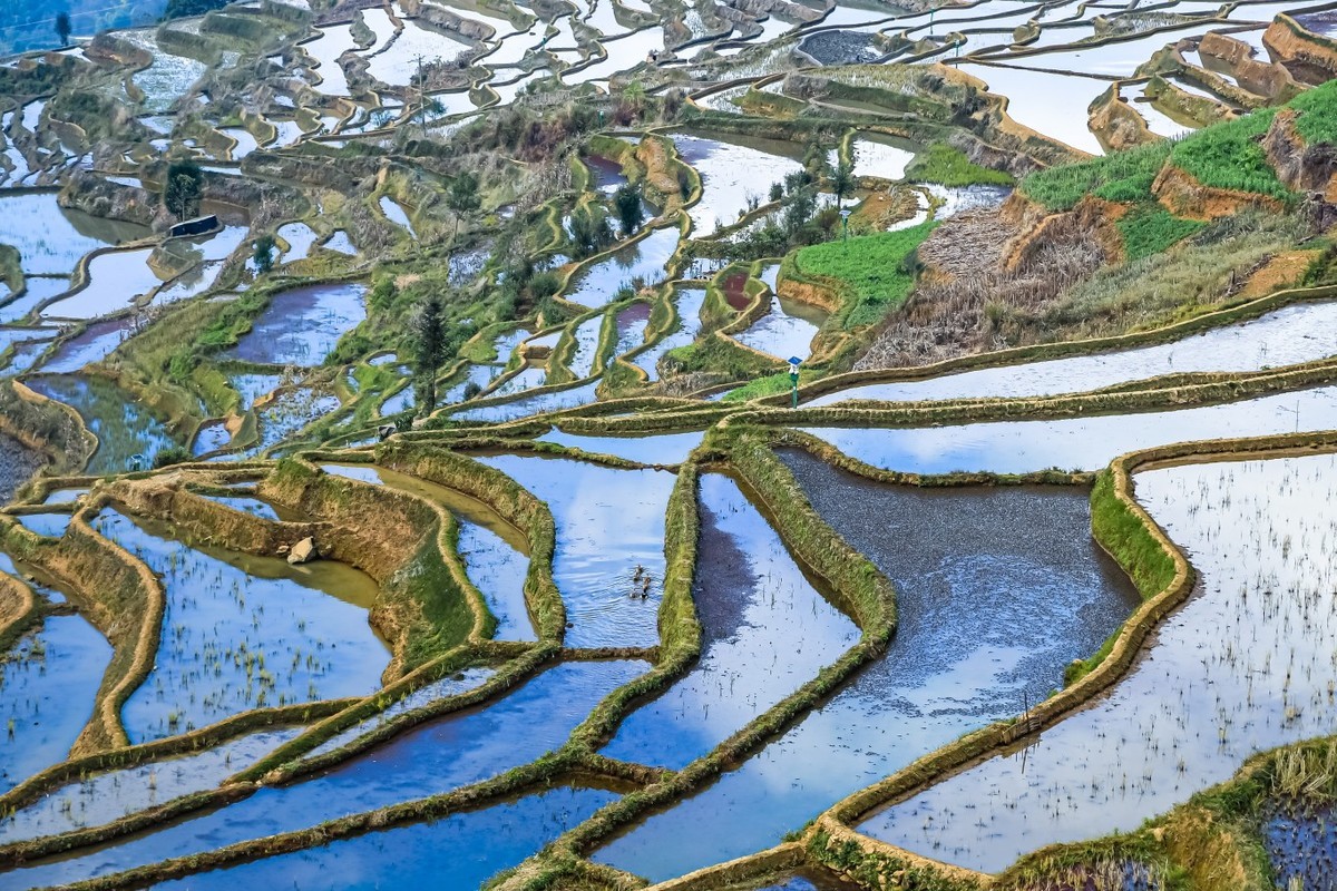 初春的元阳（二）