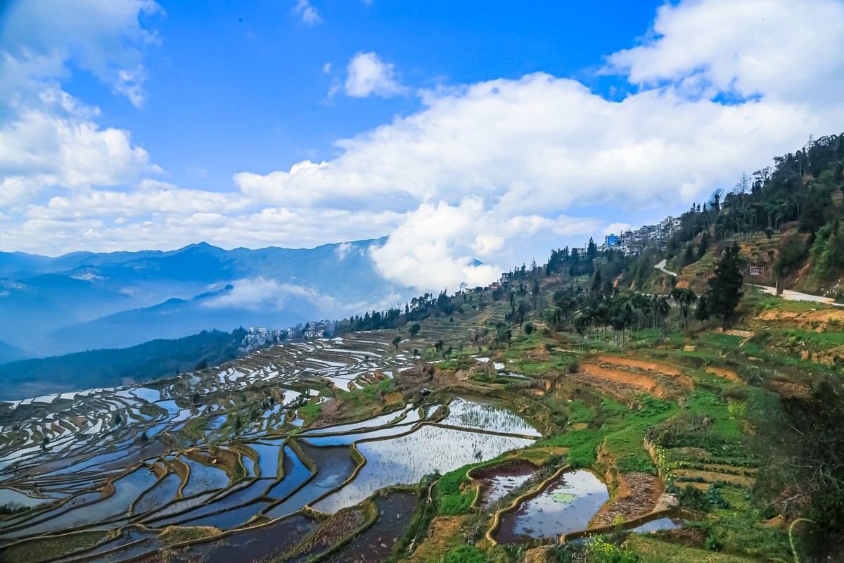 初春的元阳（二）