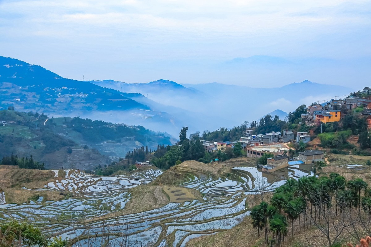 初春的元阳（二）