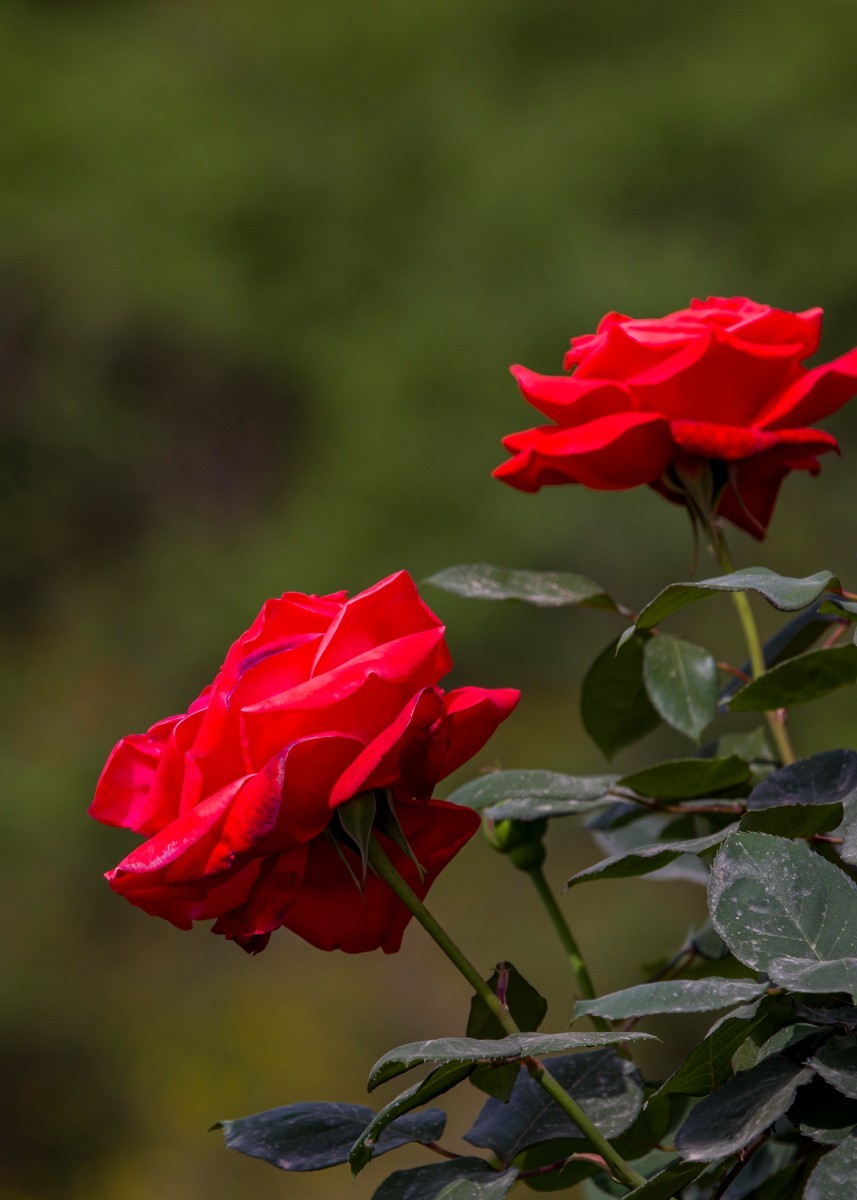 外出随拍（续399）.