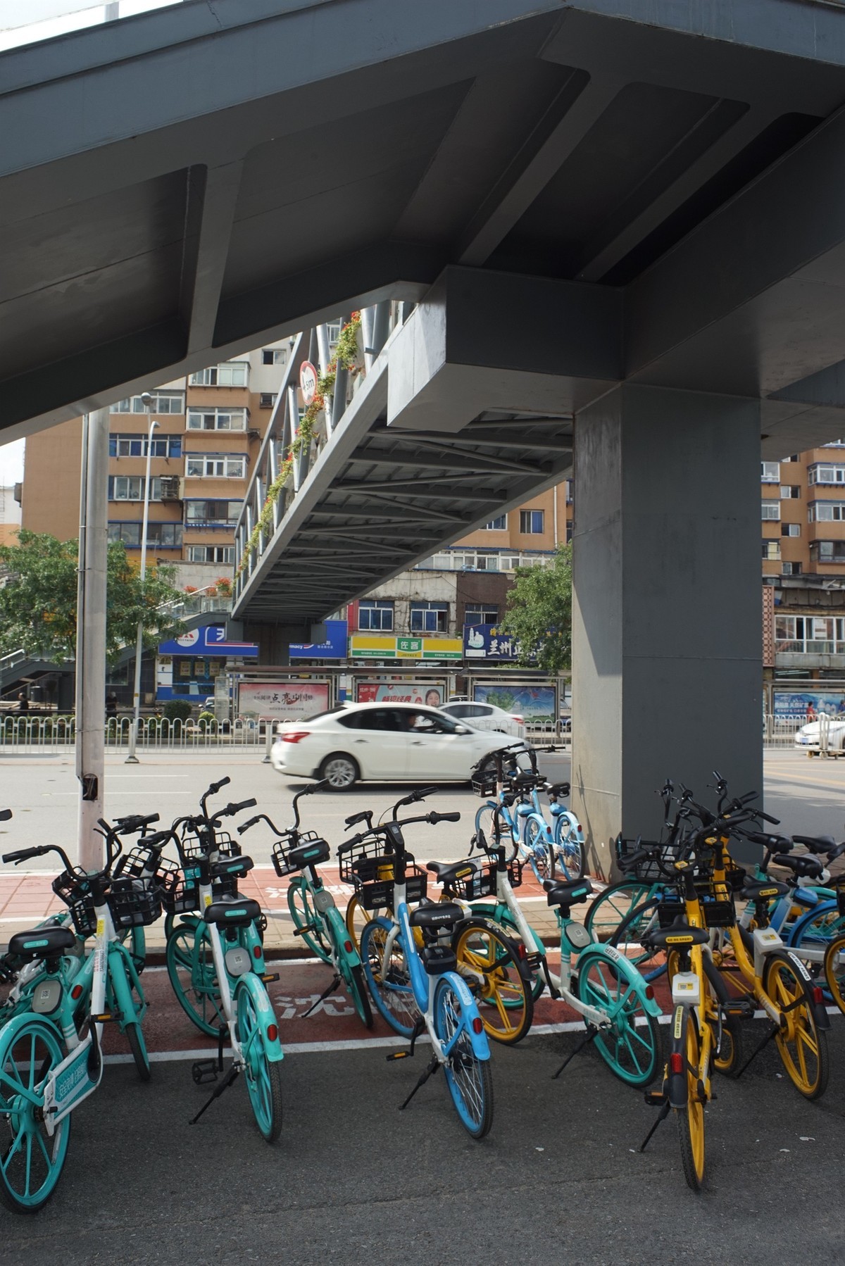 走马观花看沈阳（2）——街头随拍