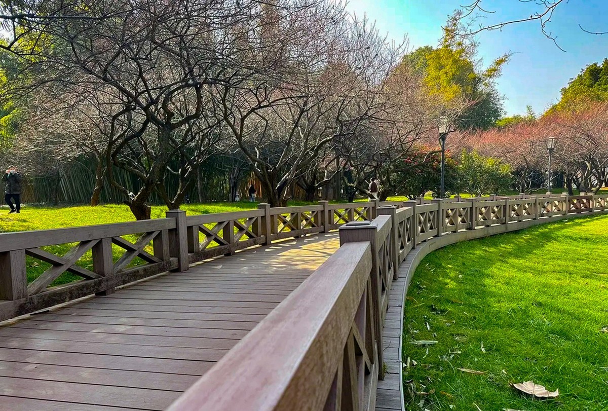 初十的长沙安静了---橘州公园