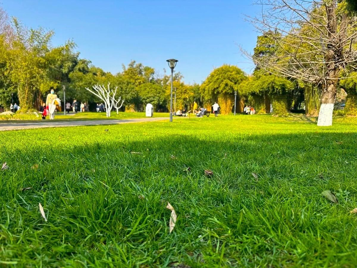 初十的长沙安静了---橘州公园