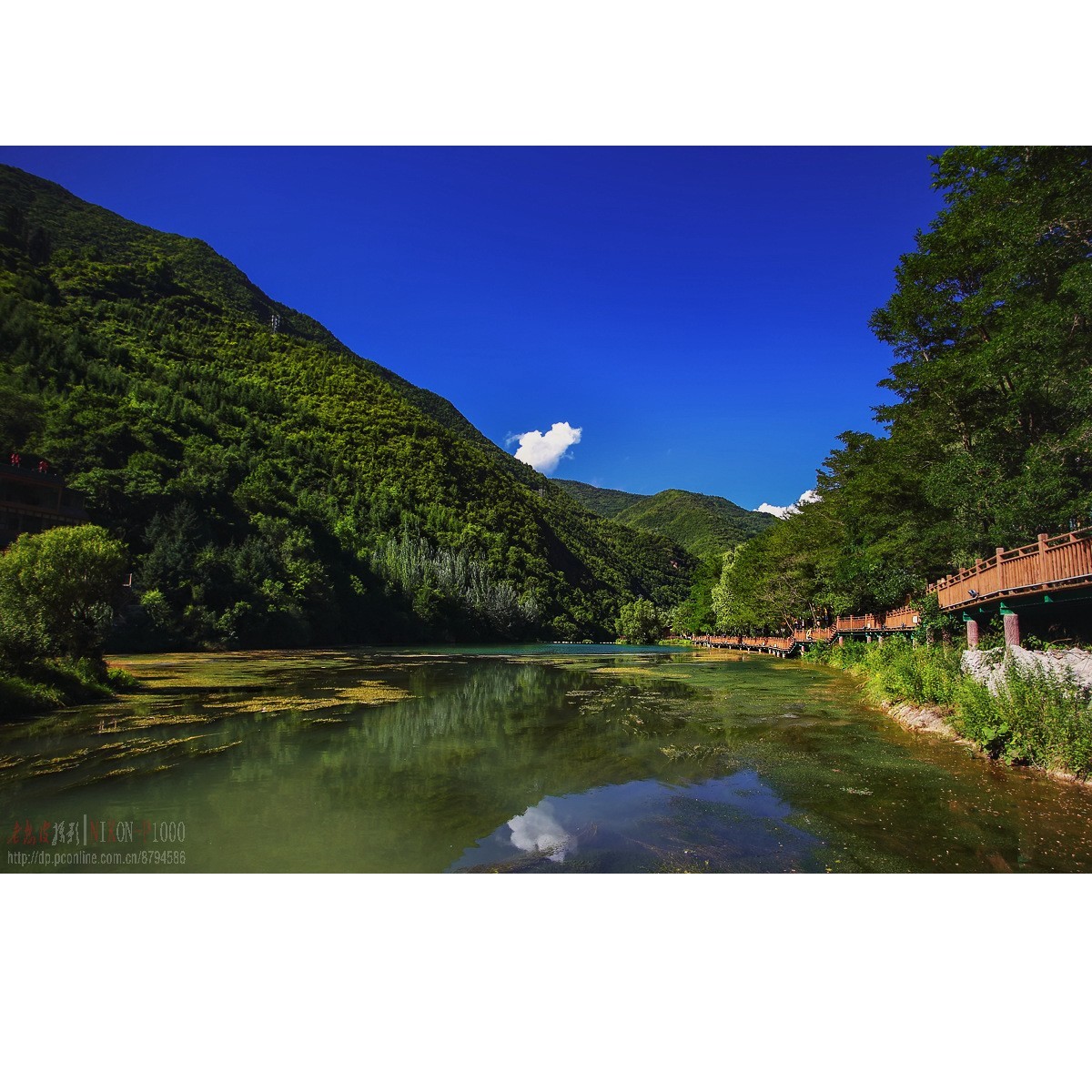 陇南宕昌县官鹅沟鹿仁村-中关村在线摄影论坛