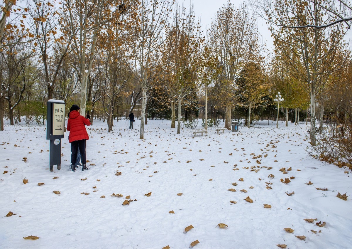 公园雪景