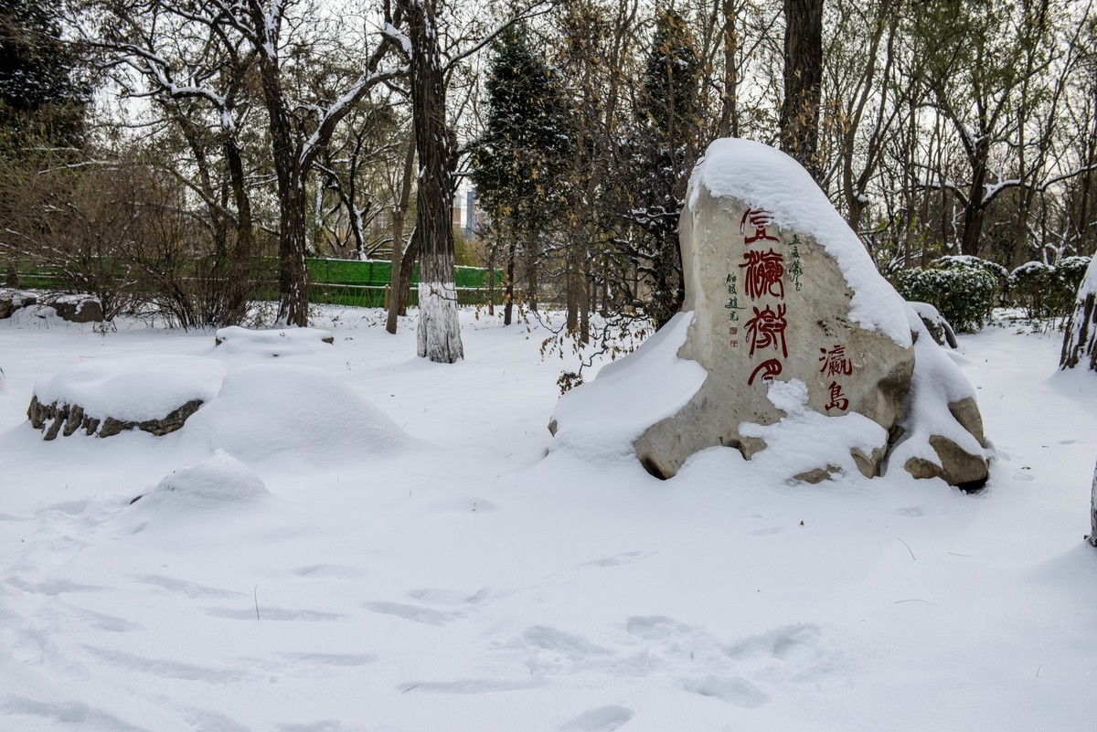 公园雪景