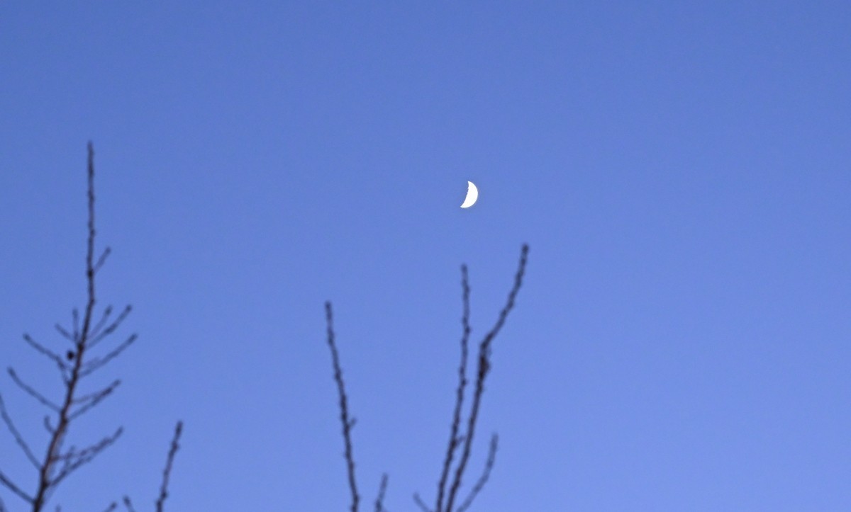 大连莲花山俯瞰星海湾大桥