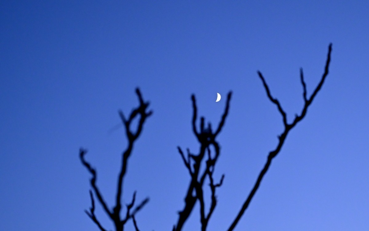 大连莲花山俯瞰星海湾大桥