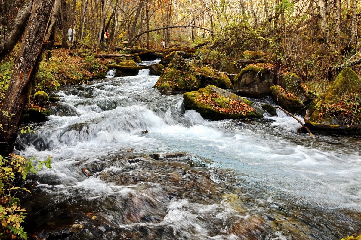 川西高原--松坪沟